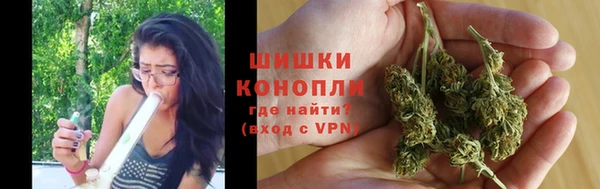 эйфоретик Сосновый Бор