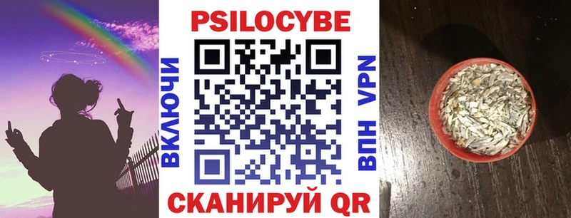 Псилоцибиновые грибы GOLDEN TEACHER  Ильский 
